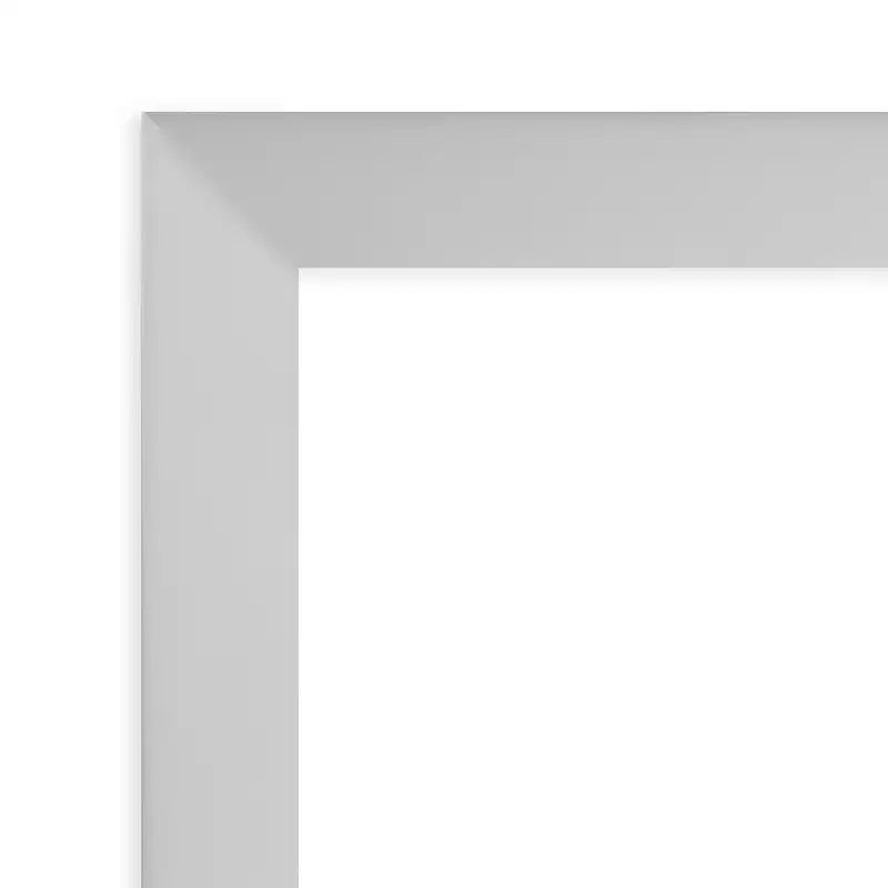 17" x 51" Non-Beveled Low Luster Silver Wood on The Door Mirror - Amanti Art