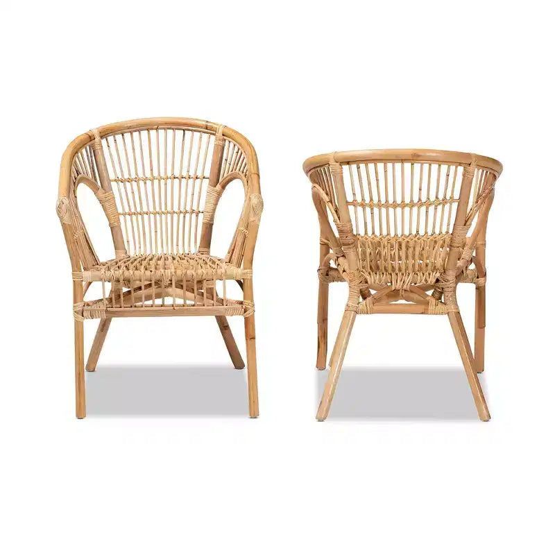 2pc Alleta Rattan Dining Chair Set Natural/Brown - bali & pari: Bohemian Style, No Assembly Required