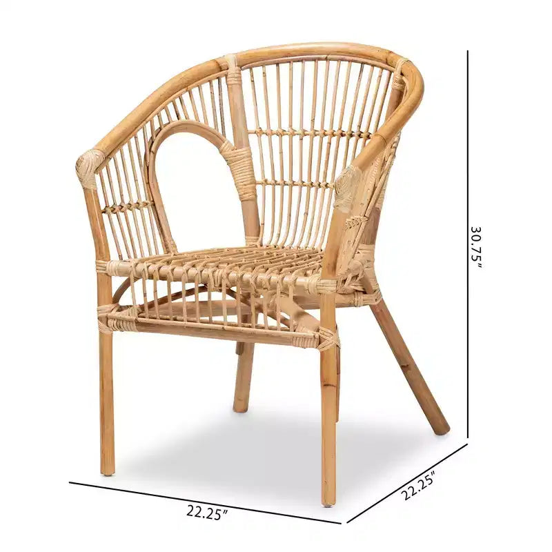 2pc Alleta Rattan Dining Chair Set Natural/Brown - bali & pari: Bohemian Style, No Assembly Required